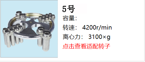 新轉子5.jpg