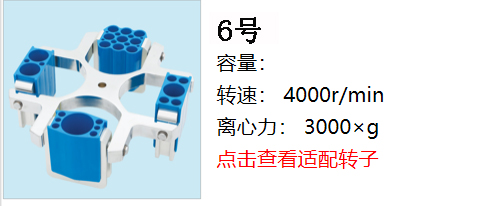 新轉子6.jpg